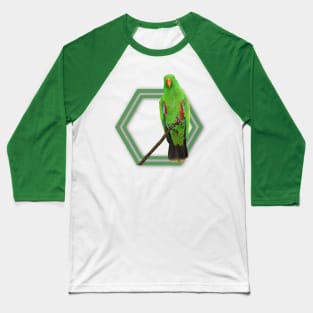 Eclectus Parrot Baseball T-Shirt